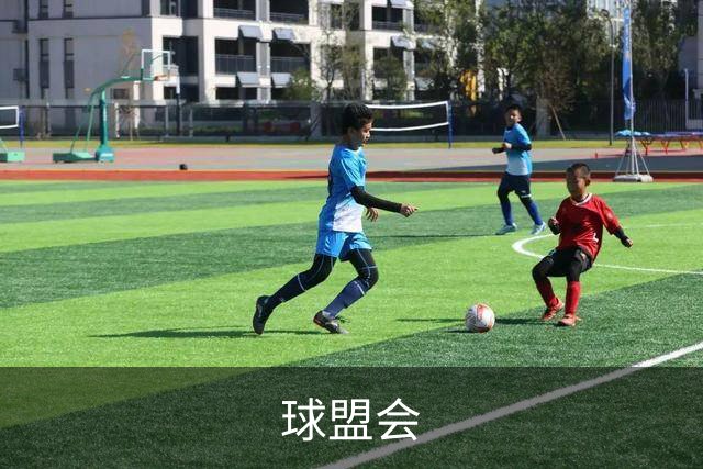 球盟会公司简介展示图